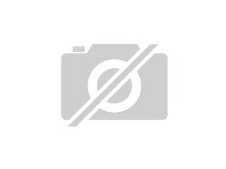 Suche Salamon Edelpapagei Hahn auch älteren